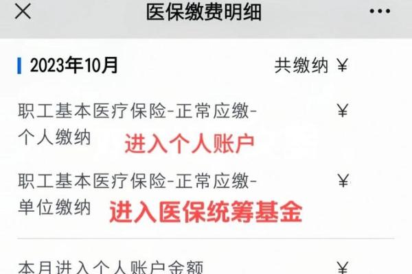 医保统筹支付和个人账户支付是什么意思