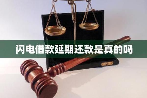闪电借款不还的后果