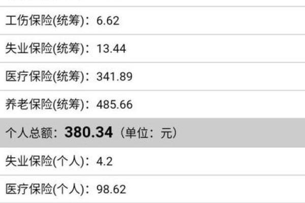 怎么查医疗保险
