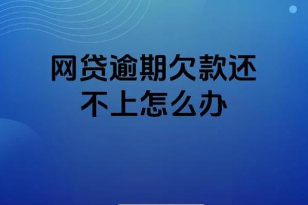 网贷逾期没钱还怎么办
