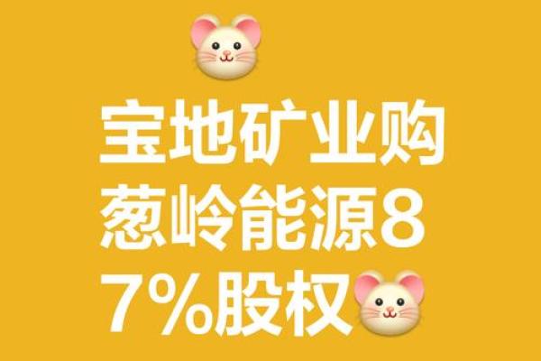 矿业基金有哪些