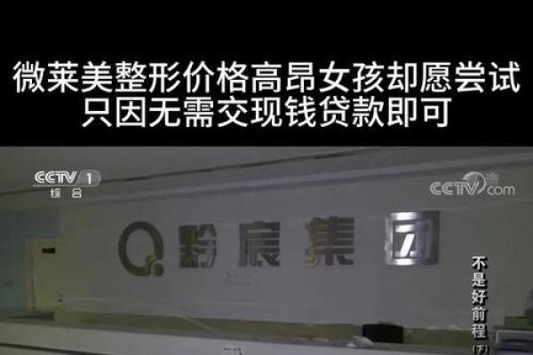整容贷款不还后果