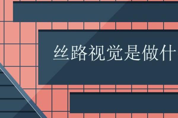 丝路视觉是做什么的