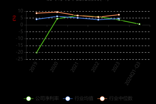 圣龙股份是个什么企业