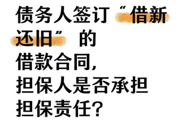 借款种类