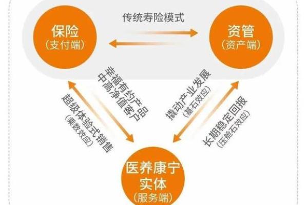 泰康人寿飞铁保是啥意思