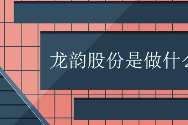 龙韵股份是做什么的