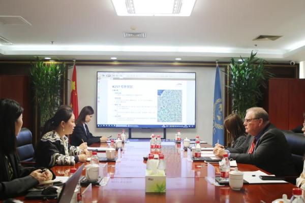 中建投是什么公司