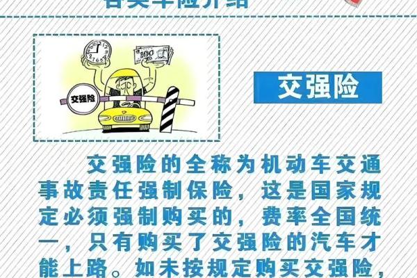 交强险和商业险可以分开买吗