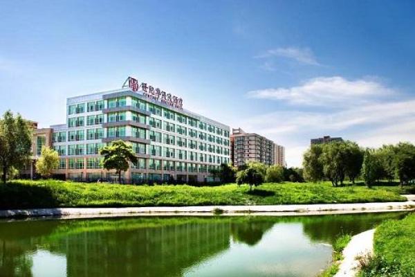 中战集团是个什么公司
