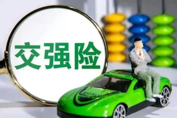 强险是什么