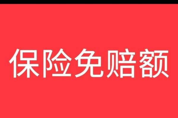 年免赔额1万是什么意思