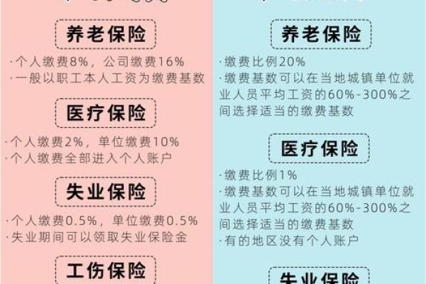 自己个人如何缴纳社保