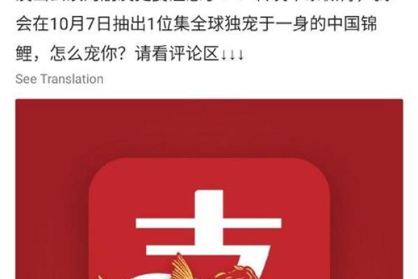支付宝锦鲤卡是干什么的