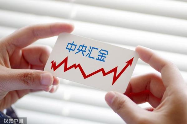 汇金是什么