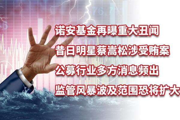 诺安基金怎么回事