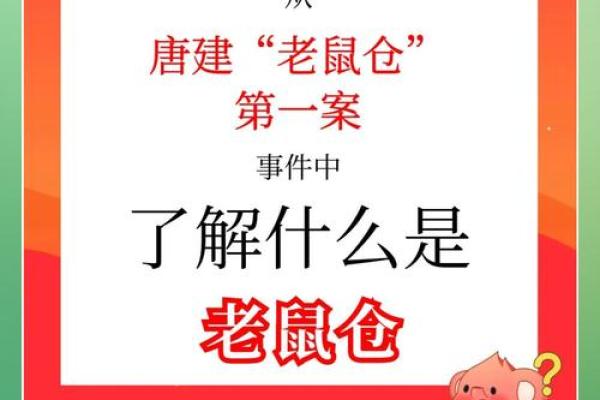 什么叫老鼠仓
