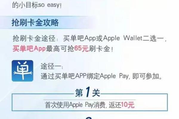交通银行pay类消费是什么意思