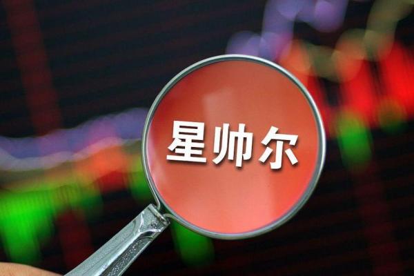 星帅尔是做什么的
