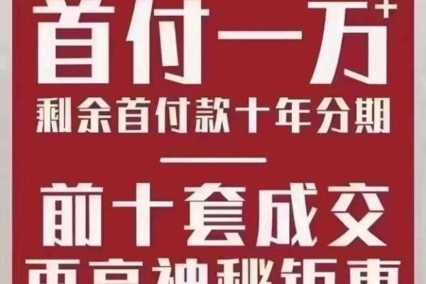 买房50万怎么分期付款