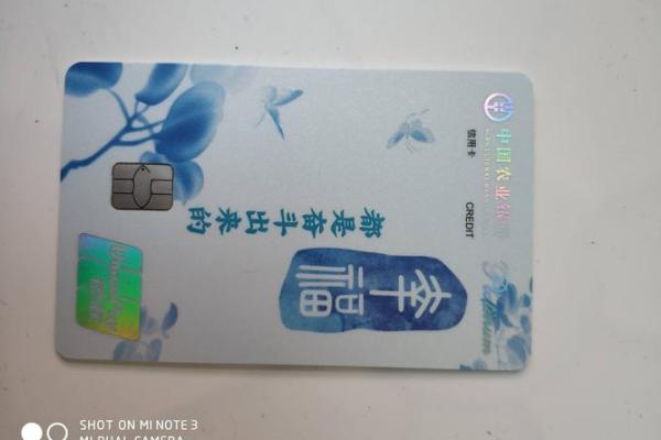 农行燃梦卡是什么级别