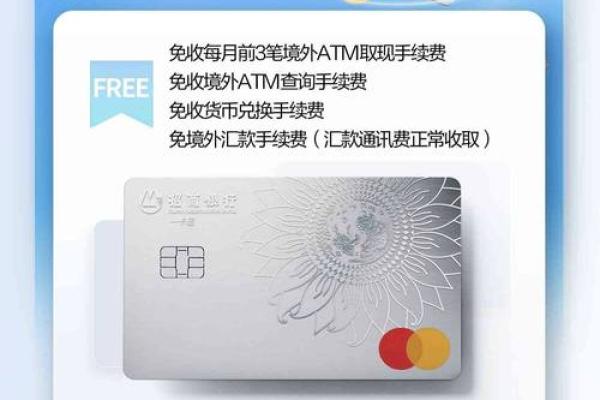 万事达单标识卡支持哪些币种