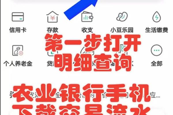 怎么查农行卡余额