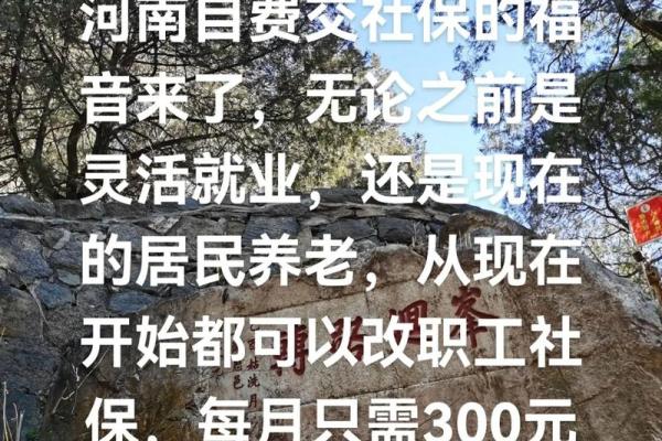自费交社保的利弊