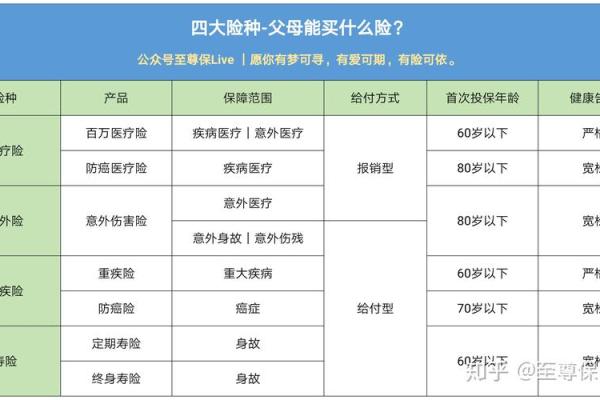 老人大病保险如何购买
