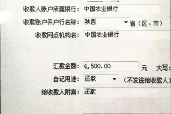 银行转账冲正是什么意思