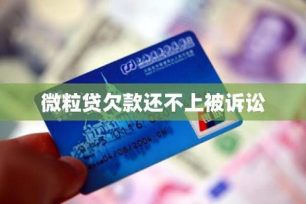 欠微粒贷还不上怎么办