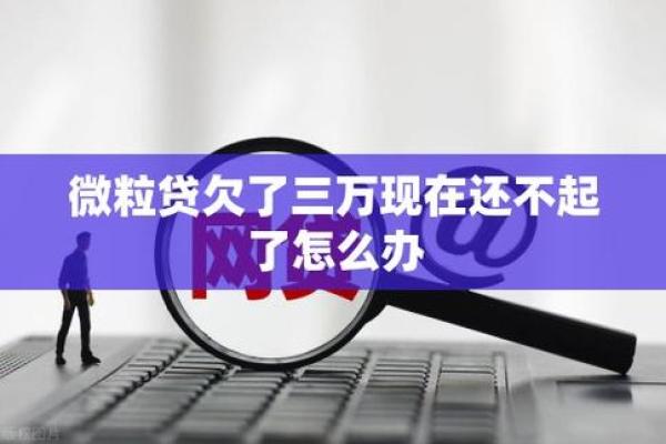 欠微粒贷还不上怎么办