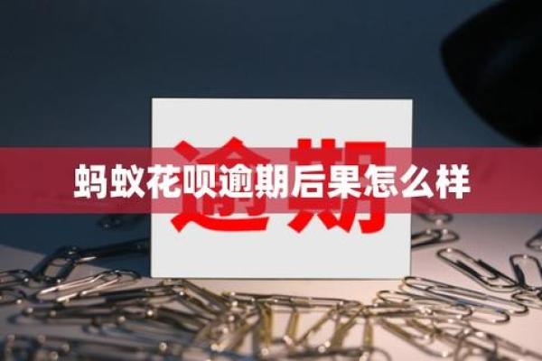 蚂蚁花呗逾期还款后果