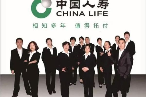 中国人寿是私人的还是国家的