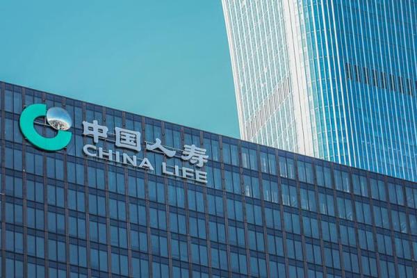 中国人寿是私人的还是国家的