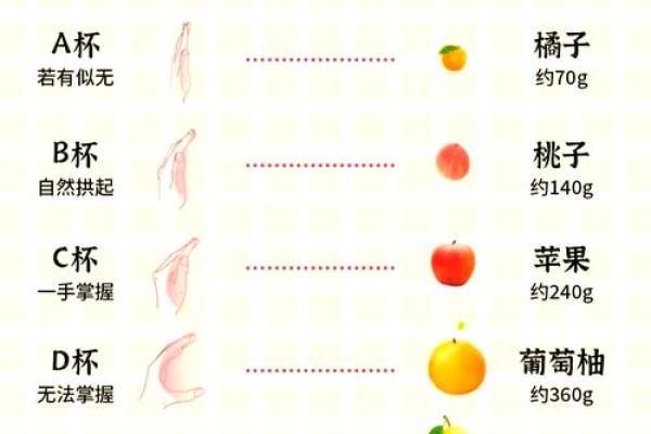 量比是什么意思