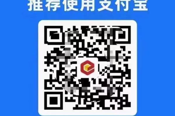 易收付有支付牌照吗