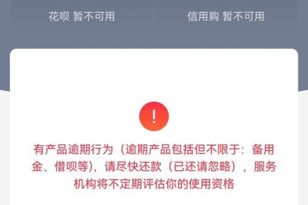 花呗逾期不能用了怎么办