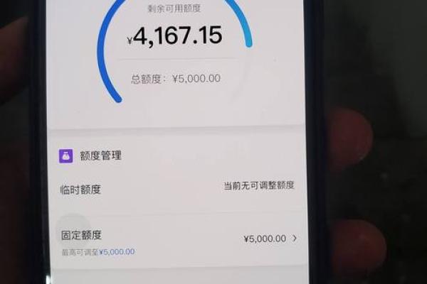 中信出了临时额度要吗