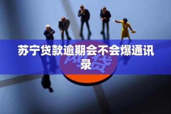 汇中贷款不还款会怎样